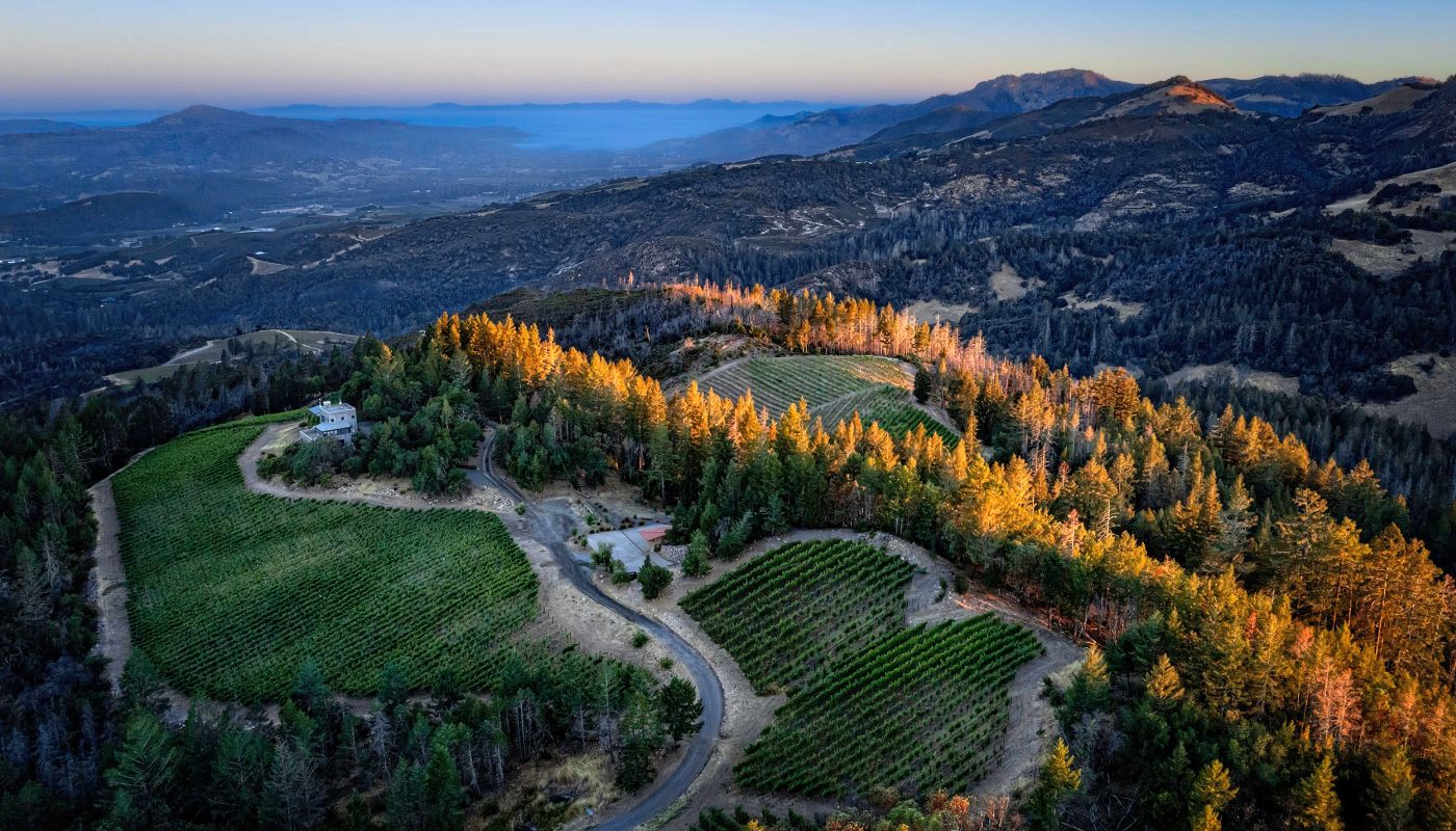 Lasseter Trinity Ridge Vineyard - Michael Housewright photography