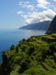 View over vineyards of Madeira sea in background