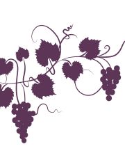 WWC25 grapes image JR purple on white