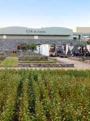 CIA at Copia, Napa