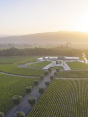Opus One winery