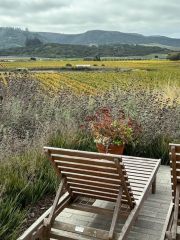 Sta Rita Hills from Mae Estate