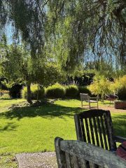 Sunny garden at Blue Farm