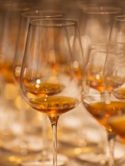 My glasses of Yquem being filled at The Morris