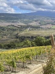 View from Le Ripi towards Monte Amiata