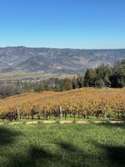 View from Smith Madrone on Spring Mountain