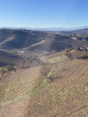 view of Lazzarito and the Alps in the background