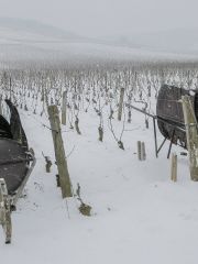 2brouettes in Richbourg,Vosne-Romanee
