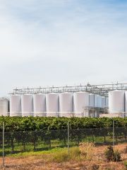 Australian wine tanks and grapevines
