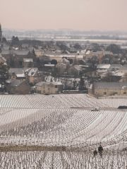 Meursault in the snow - Jon Wyand