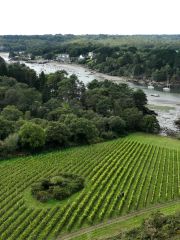 Vignoble Roc’h-Mer aerial view