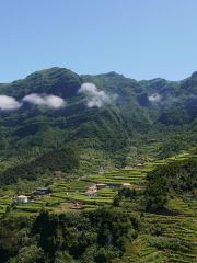 São Vicente Madeira vineyards