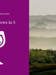 Wine News in 5 logo and Asti vineyard shrouded in fog photo