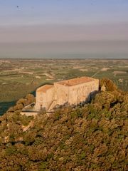 Castiglioncello Sassicaia