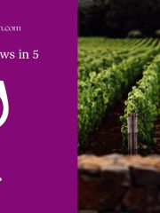 Wine news in 5 logo and Rudd walled vineyard
