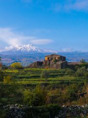 Mt Etna
