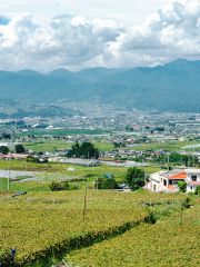 View over the Kofu basin from Fujiclair winery