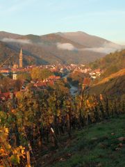 Village of Thann with the River Thur