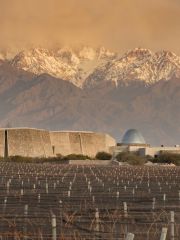Zuccardi's Valle de Uco winery