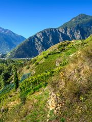 Alexandre Delétraz's (Cave des Amandiers) vineyards in Valais @ Leif Carlsson