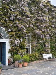 Ballymaloe House May 2026