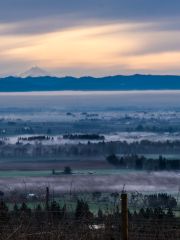 Mr Hood misty morning