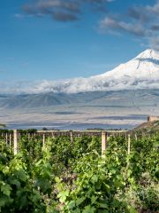 Mt Ararat overlooking vineyards