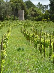 A castle in the Espera vineyards