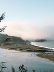The Pacific ocean view from Flowers Vineyards 