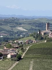 view towards Barbaresco