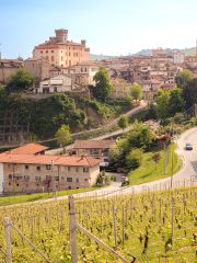 Barale estate and vineyards