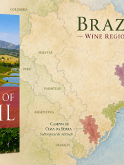 CWL Wines of Brazil over map