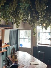 Hops hang from the ceiling at Dylan's at The Kings Arms in St Albans