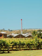 Penfolds Magill Estate chimney and vines