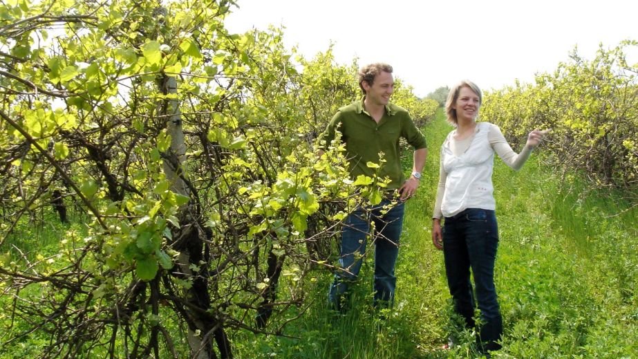 Angela and Werner Michlits of Meinklang wine estate