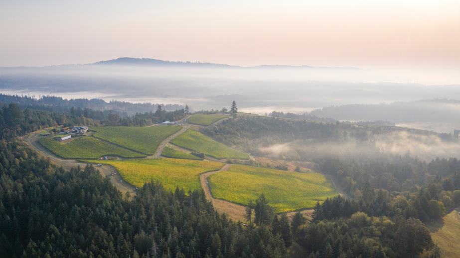 Et Fille Fairsing Vnyrd