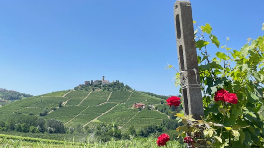 La Morra from Baudana