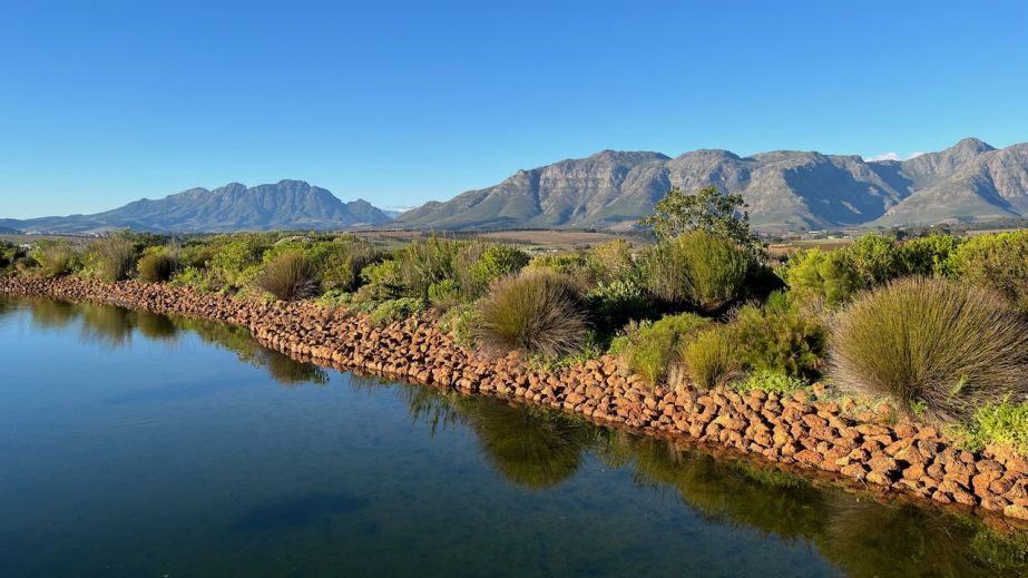 View from Cavalli restaurant, Stellenbosch