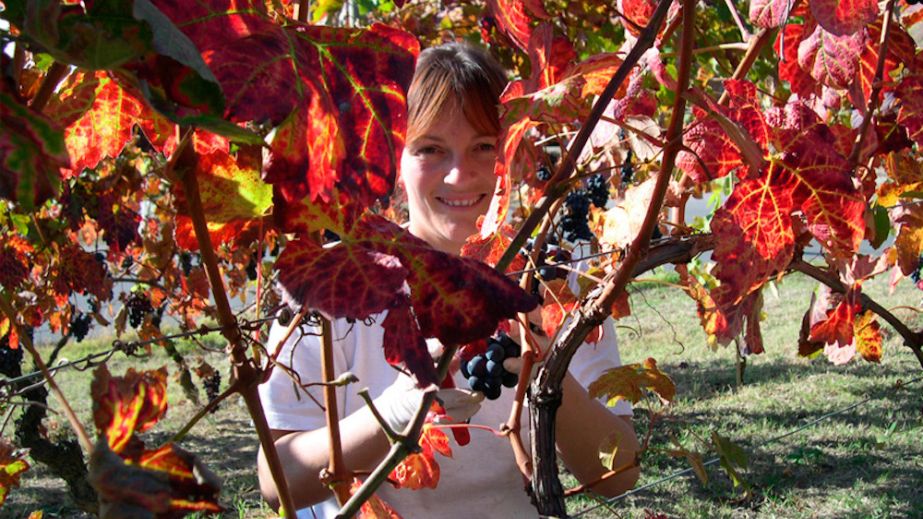 Claudia Cigliuti in her vineyard