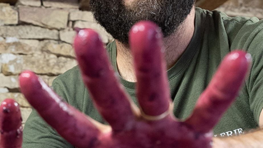 Nick Harbour photographed by Jeff Burrows