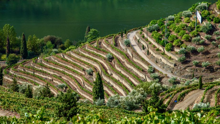 Port Arthur east-facing