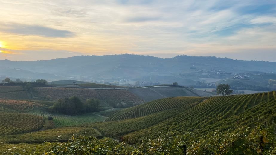 View from Castiglione towards La Morra