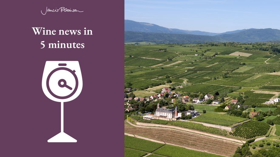 The 73.6-hectare Vourbourg Grand Cru in Alsace