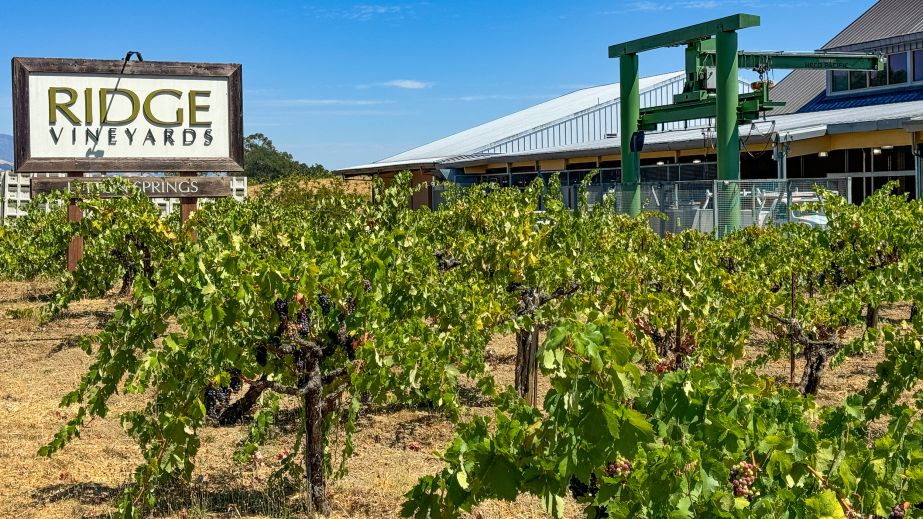 Ridge Vineyards Lytton Springs sign and vineyard