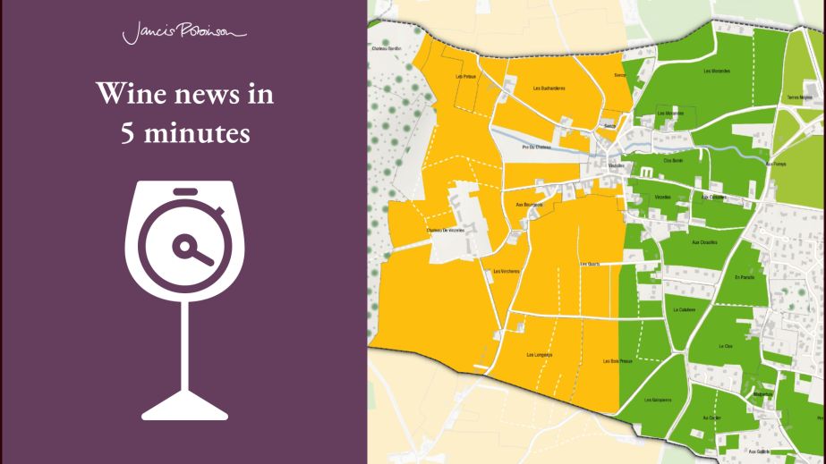 Pouilly-Vinzelles closeup 