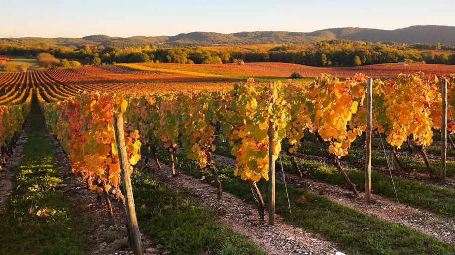 cahors-valley-autumn-light-jerome-morel