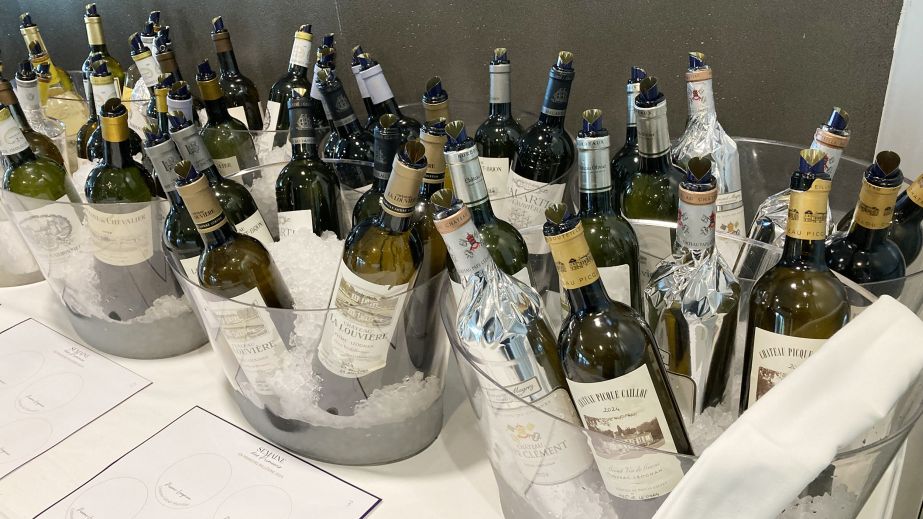 Bottles of dry white at the UGCB tasting at the Cité du Vin