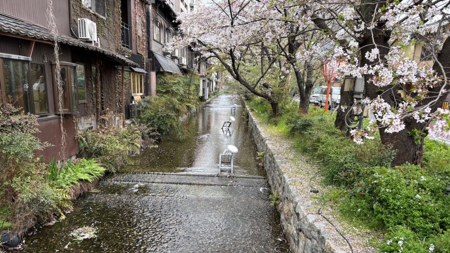 Kyoto, canal and cherry blossom