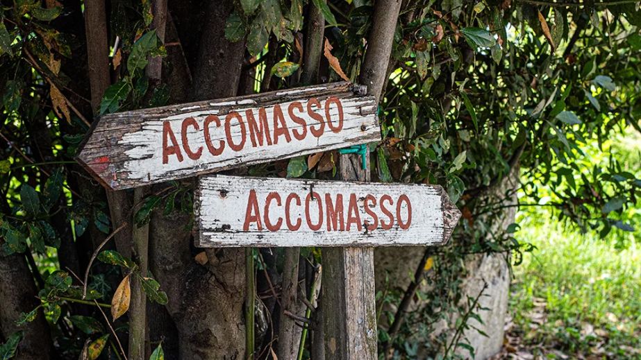 Acomasso sign in Barolo vineyard