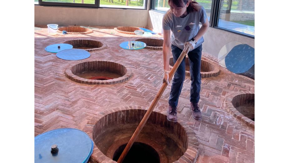 The author working hard on a qvevri to coerce stubborn native yeasts at the Chateau Mukhrani marani. 